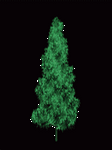 pic for Christmas Tree